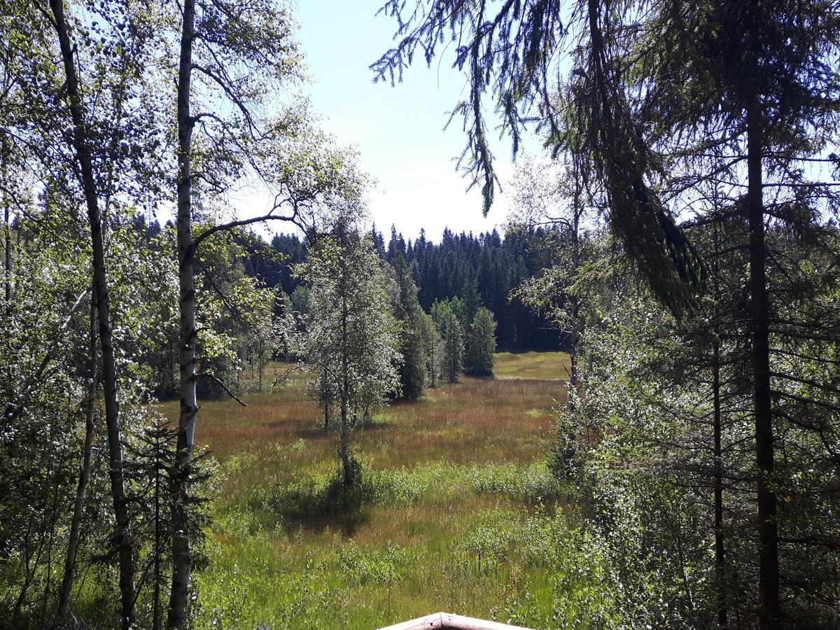 Ferienwohnung Sonnenschein Heimenkirch ภายนอก รูปภาพ