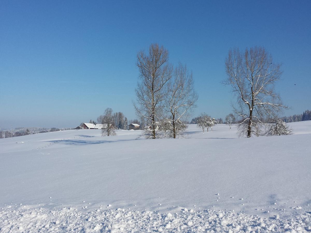 Ferienwohnung Sonnenschein Heimenkirch ภายนอก รูปภาพ